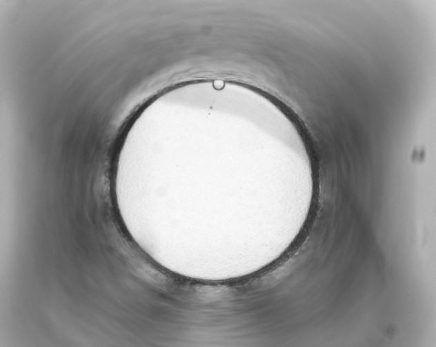 X0000093621498200711051229