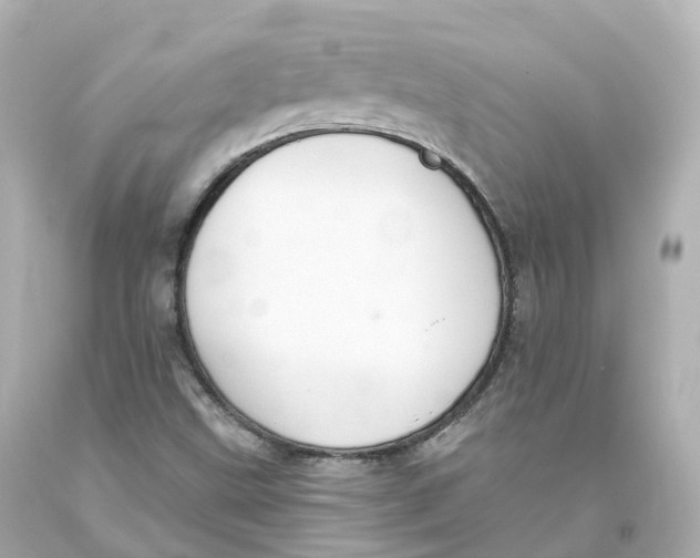 X0000093621499200711051229