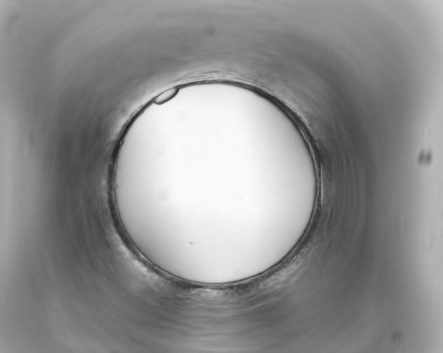 X0000093621500200711051229