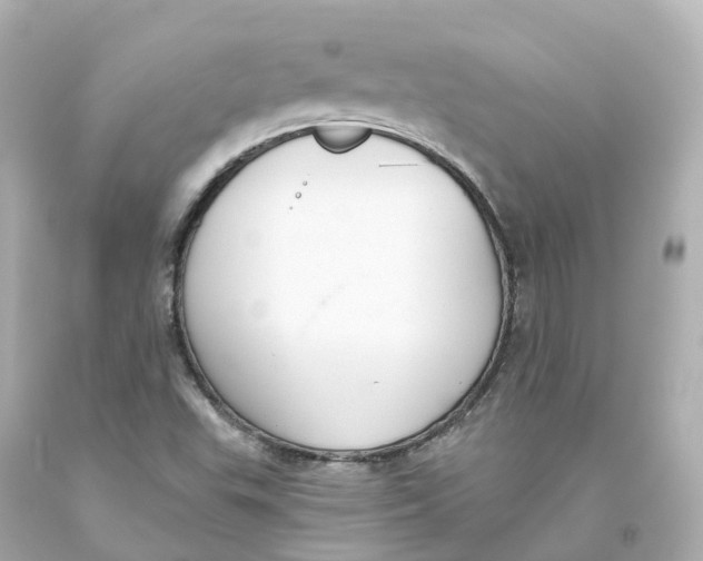 X0000093621503200711051229
