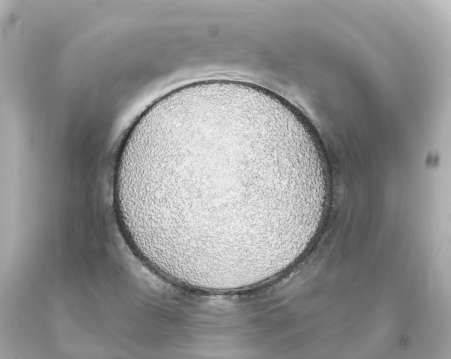 X0000093621504200711051229