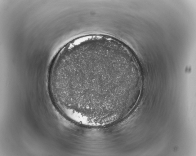 X0000093621508200711051229