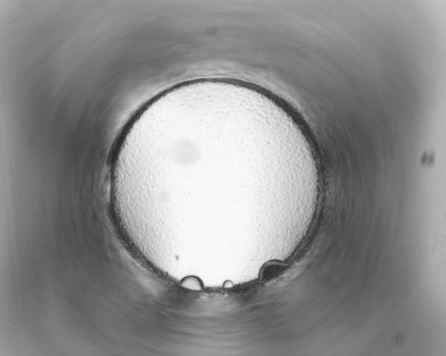X0000093621509200711051229