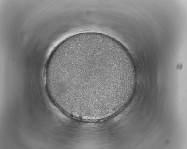 X0000093621510200711051229
