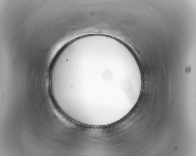 X0000093621511200711051229