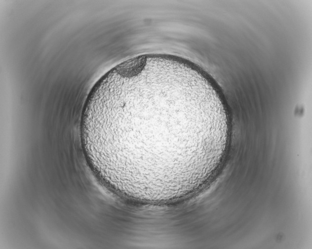 X0000093621513200711051229