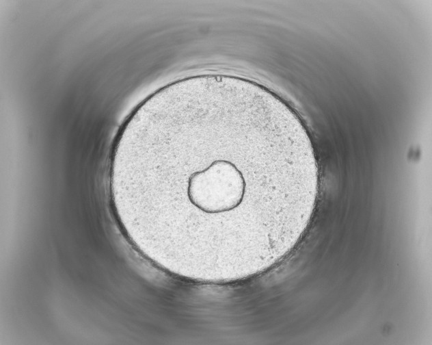 X0000093621514200711051229