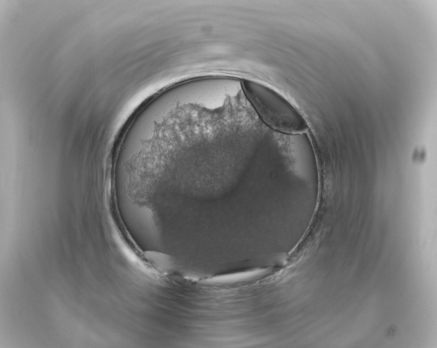 X0000093621515200711051229