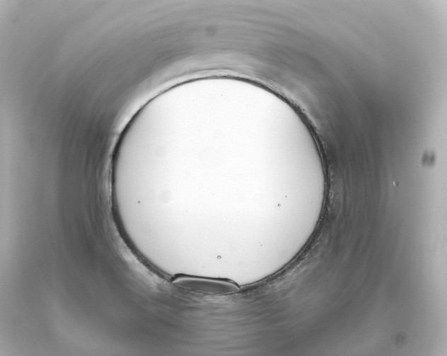 X0000093621516200711051229