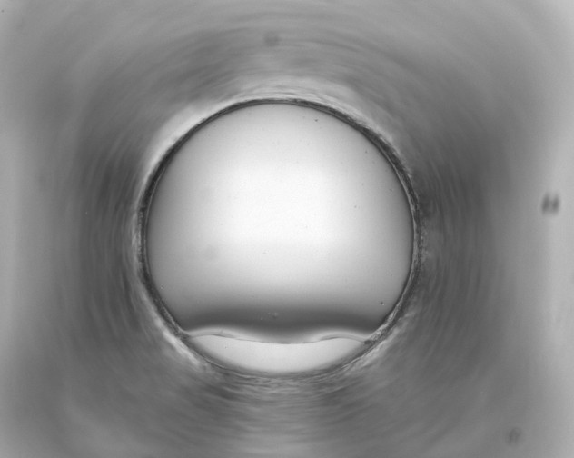 X0000093621517200711051229