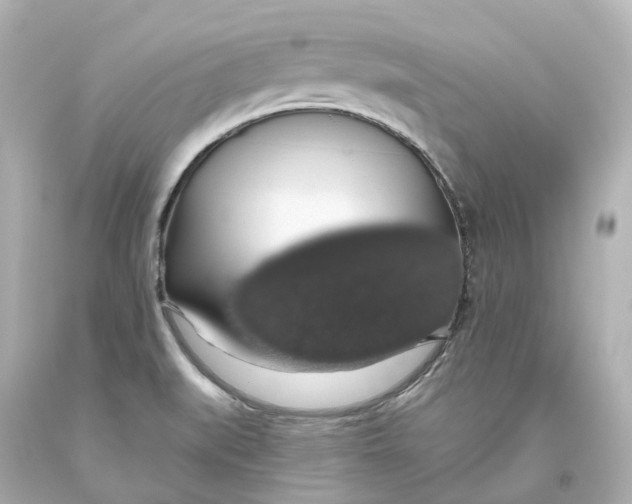 X0000093621519200711051229
