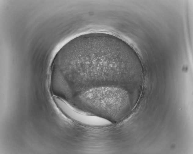 X0000093621520200711051229