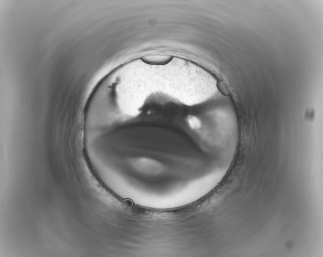 X0000093621522200711051229