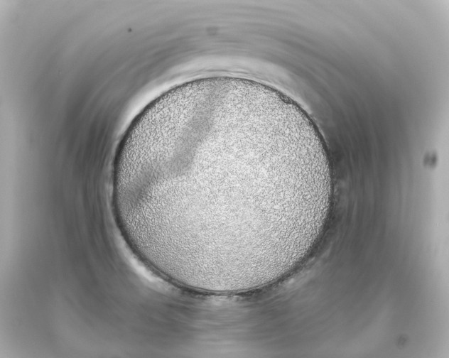 X0000093621523200711051229