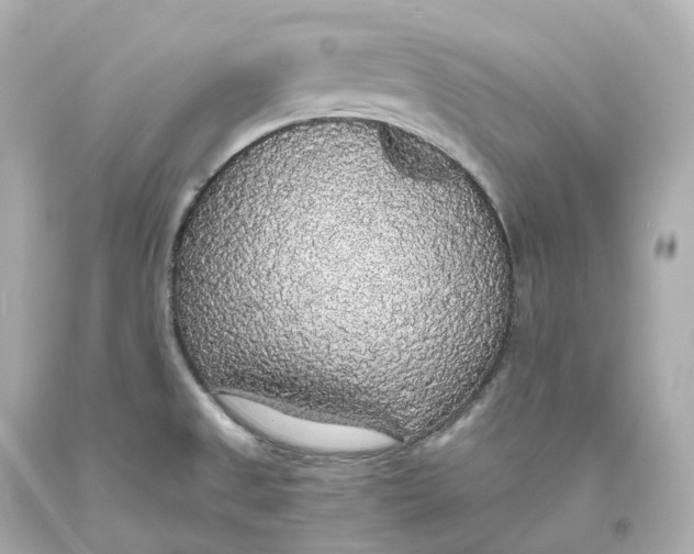 X0000093621525200711051229