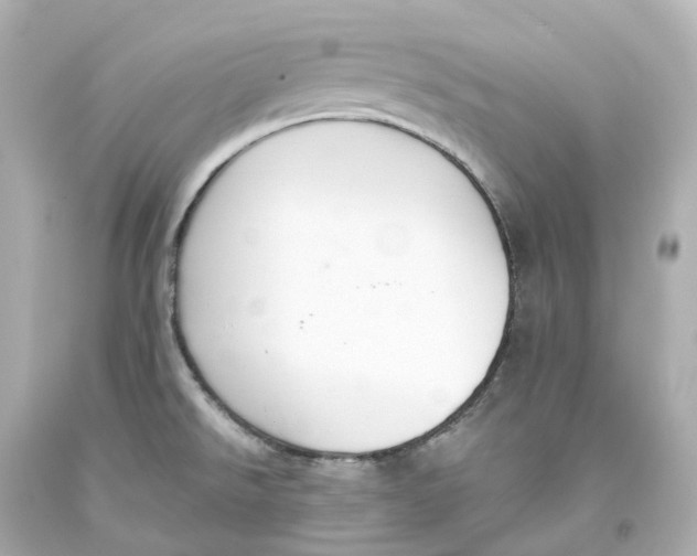 X0000093621526200711051229