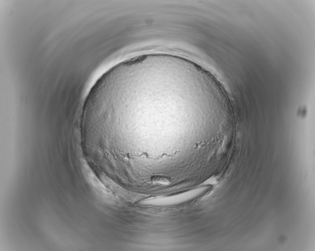 X0000093621530200711051229