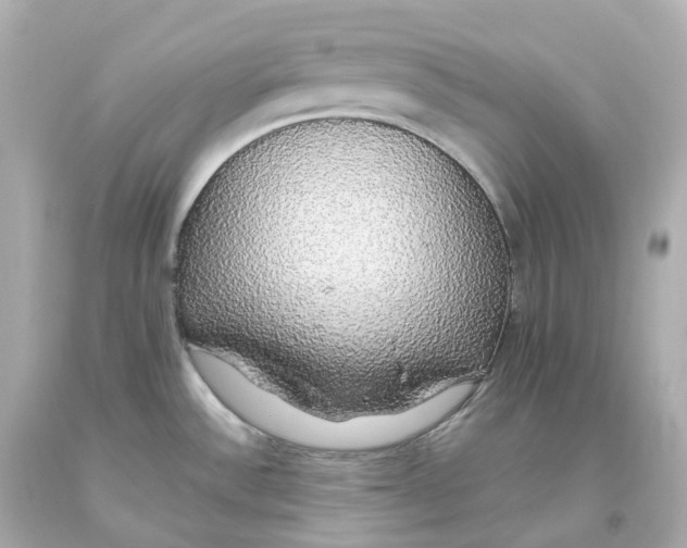 X0000093621532200711051229