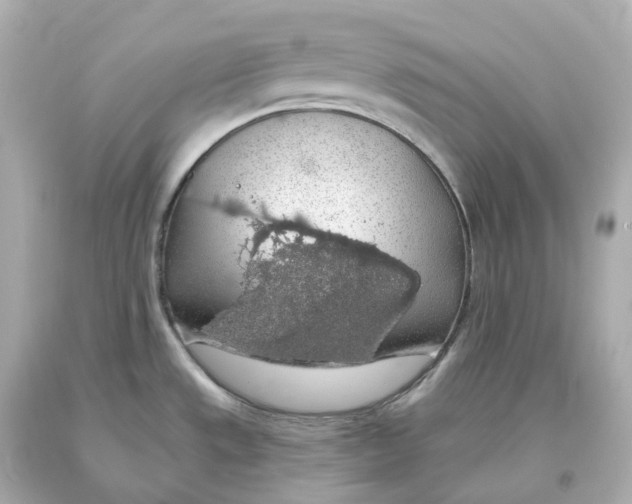 X0000093621533200711051229