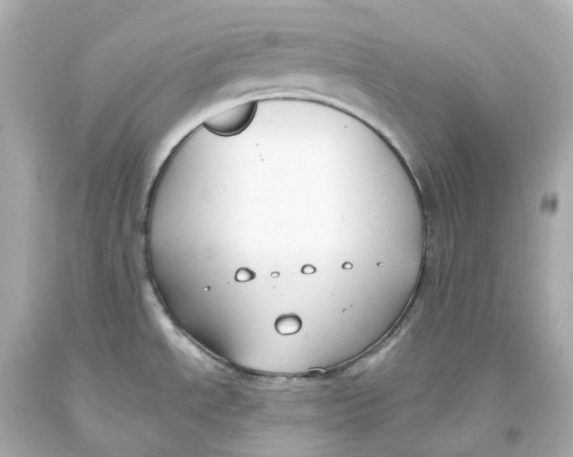 X0000093621534200711051229