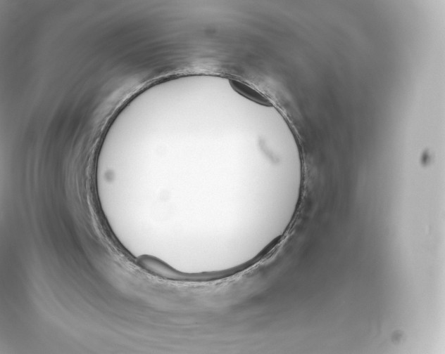 X0000093620001200711121247