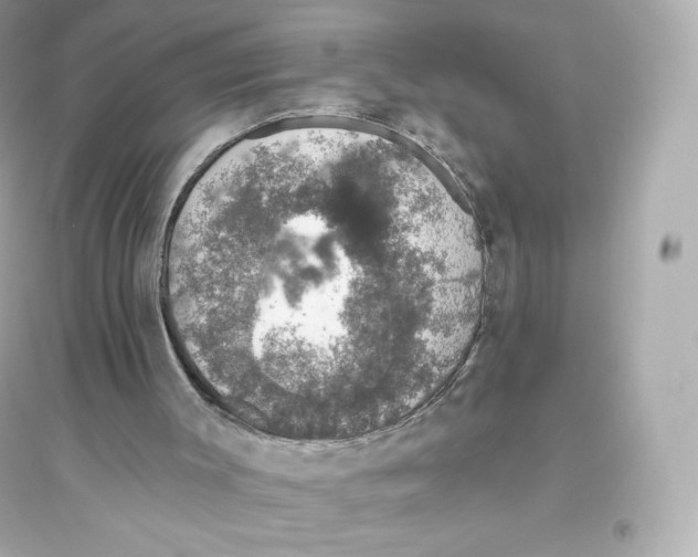 X0000093620003200711121247