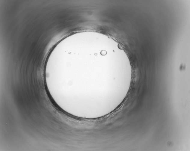 X0000093620004200711121247