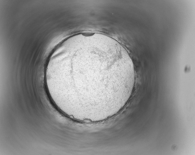 X0000093620005200711121247