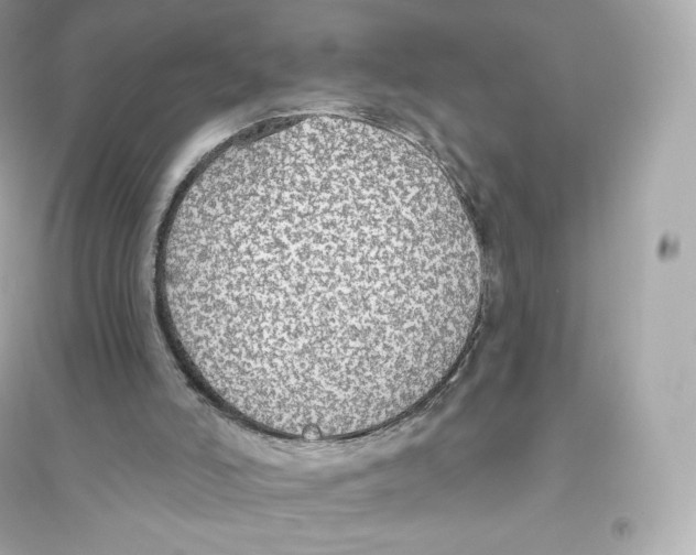 X0000093620006200711121247