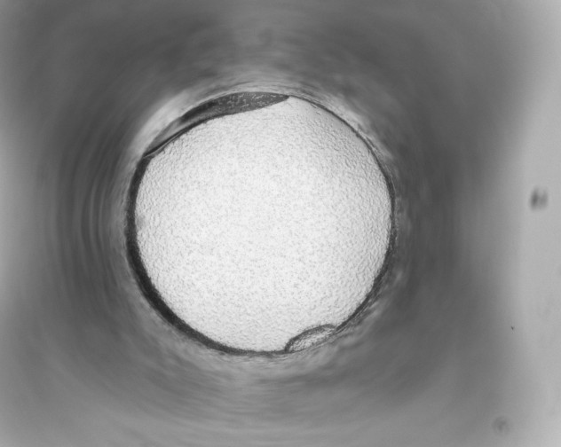 X0000093620007200711121247