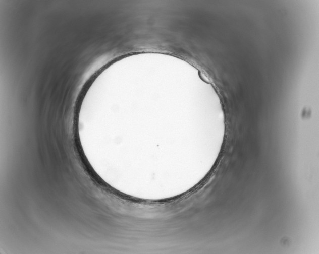 X0000093620008200711121247