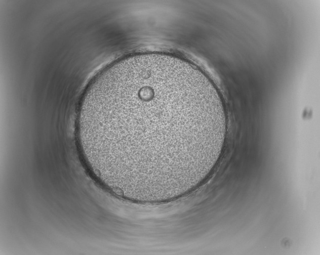 X0000093620010200711121246