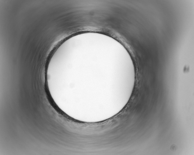 X0000093620011200711121246