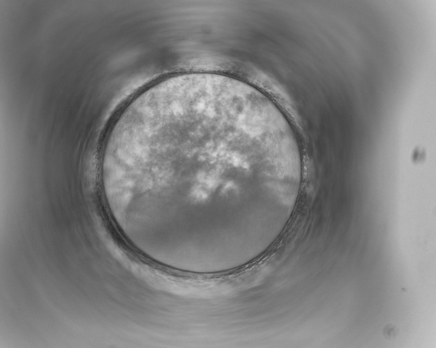 X0000093620012200711121246