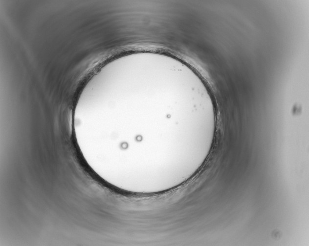 X0000093620013200711121246