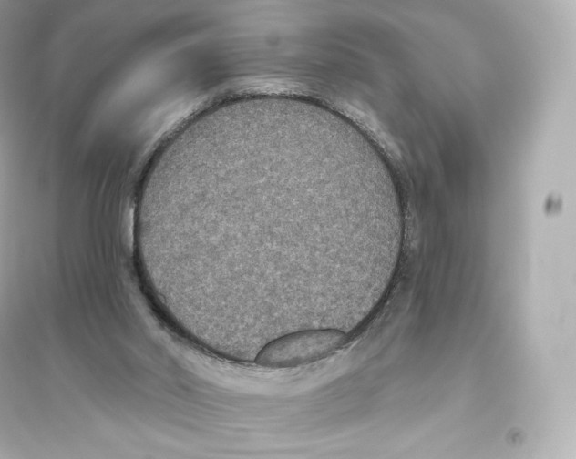 X0000093620014200711121246