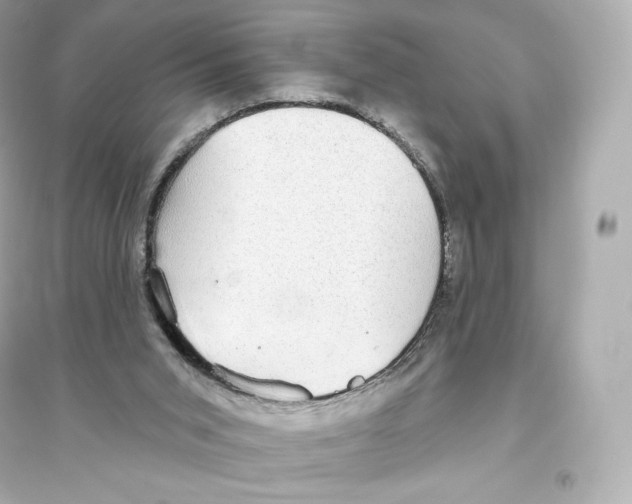 X0000093620015200711121246