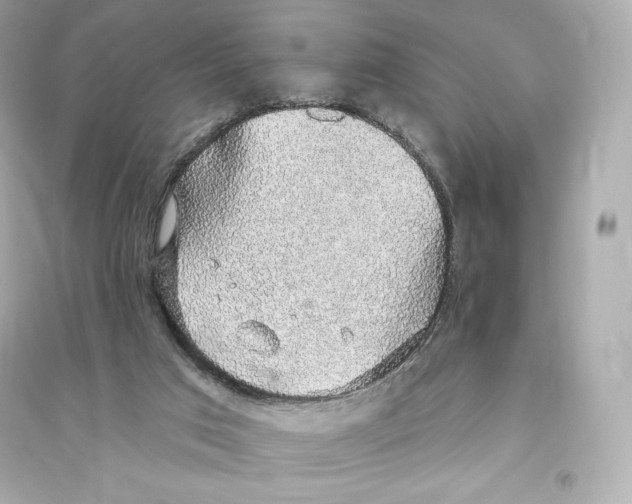 X0000093620017200711121246