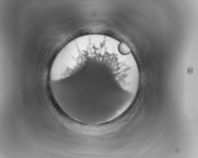 X0000093620018200711121246