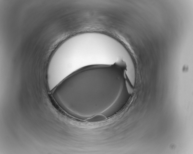 X0000093620019200711121246