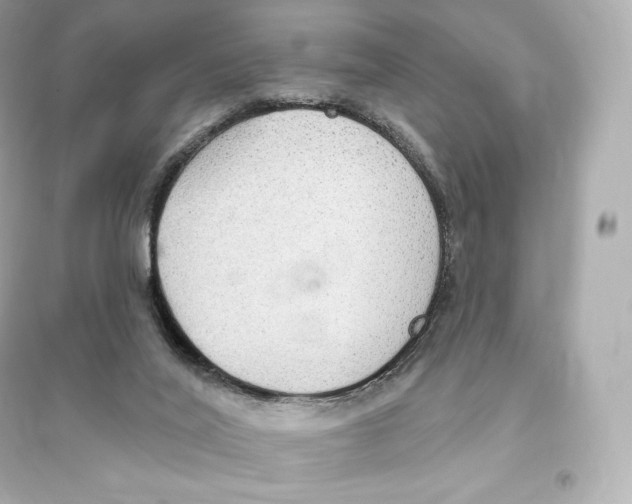 X0000093620020200711121246