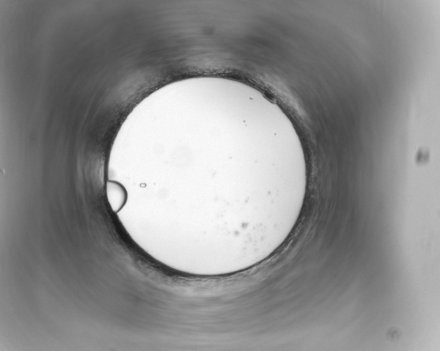 X0000093620021200711121246