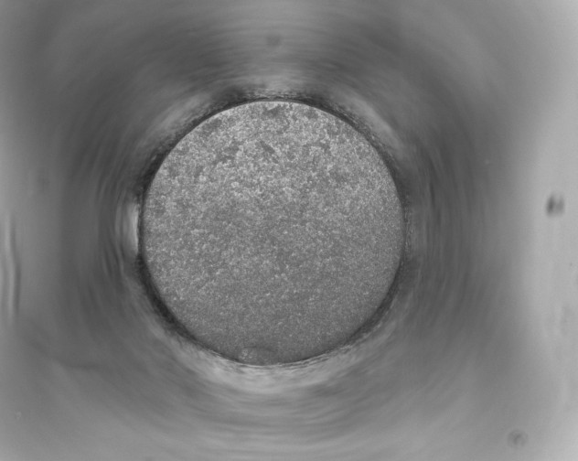 X0000093620022200711121246