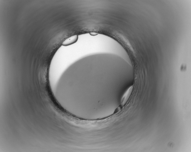 X0000093620023200711121246