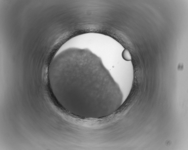 X0000093620024200711121246