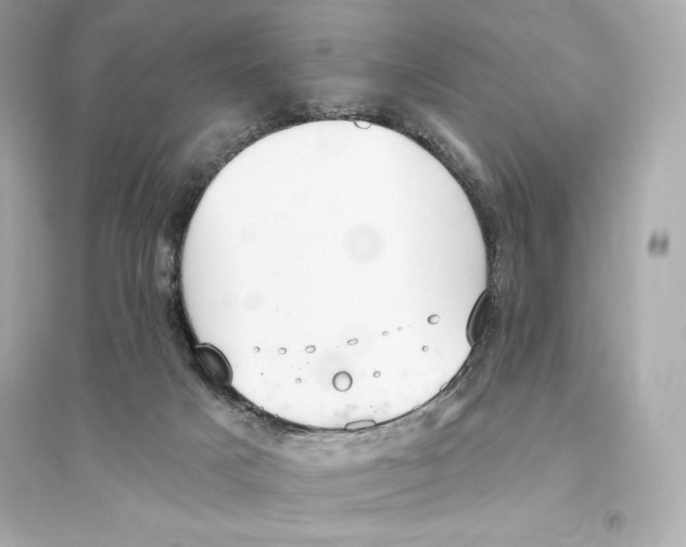 X0000093620025200711121246