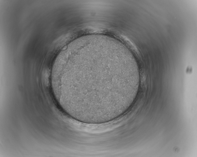 X0000093620026200711121246