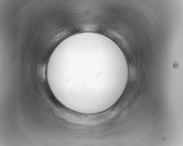 X0000093620028200711121246