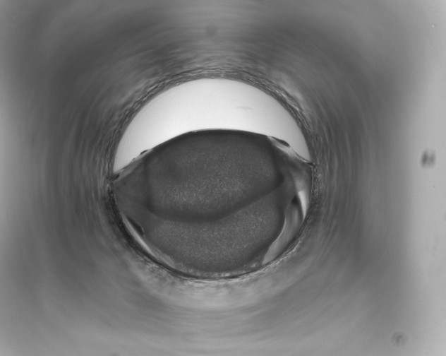 X0000093620029200711121246