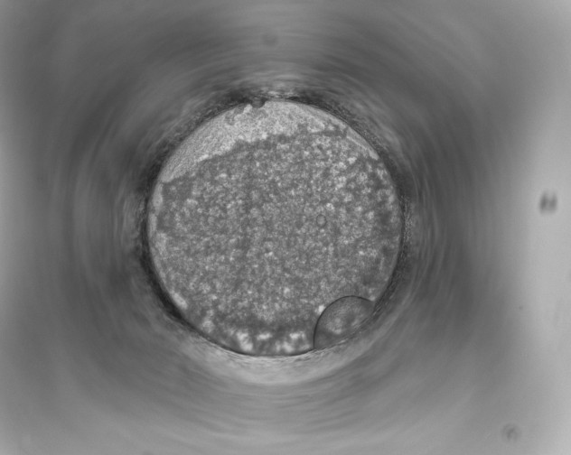 X0000093620030200711121246